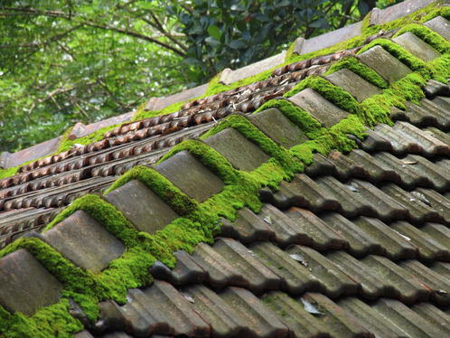 Démoussage de toiture à La Chapelle